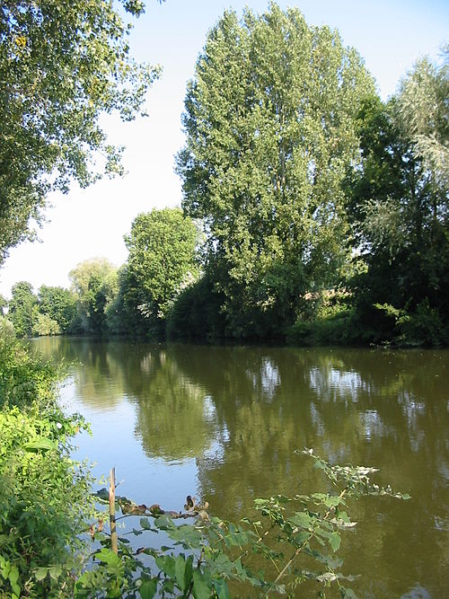 Somme (river)